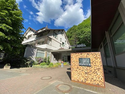 Harz Hotel & Spa Seela