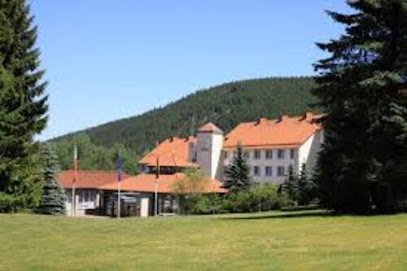 Waldhotel Berghof Luisenthal